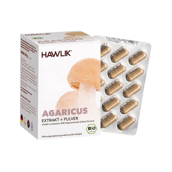 Agaricus Extrakt + Pulver, 120 Kapseln