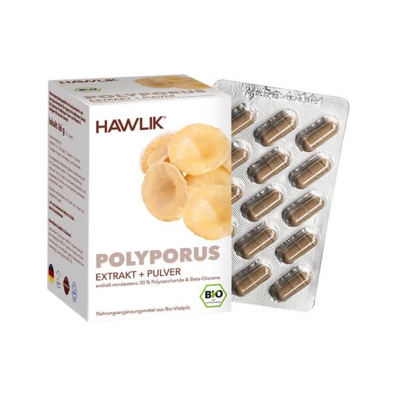 Polyporus Extrakt + Pulver, 120 Kapseln