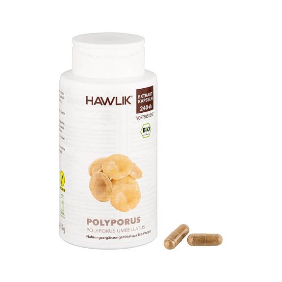 Original Hawlik, Bio Polyporus Extrakt, 240 Kapseln