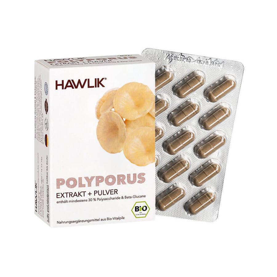 Polyporus Extrakt + Pulver, 60 Kapseln