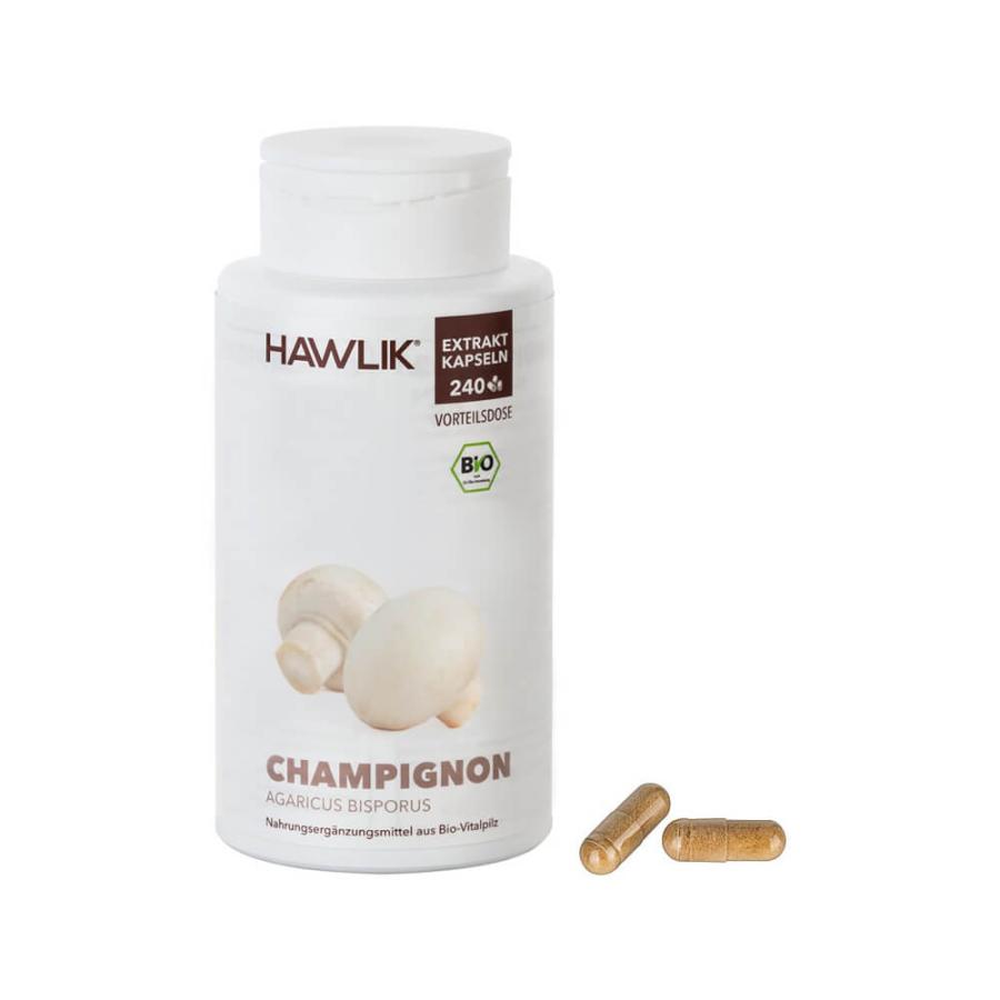 Champignon Extrakt, 240 Kapseln