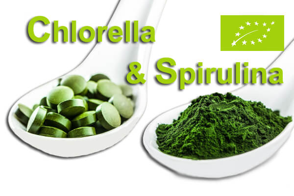 Chlorella und Spirulina BIO Algen